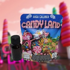 糖果樂園Candy Land 全新飛行燃料男女通...